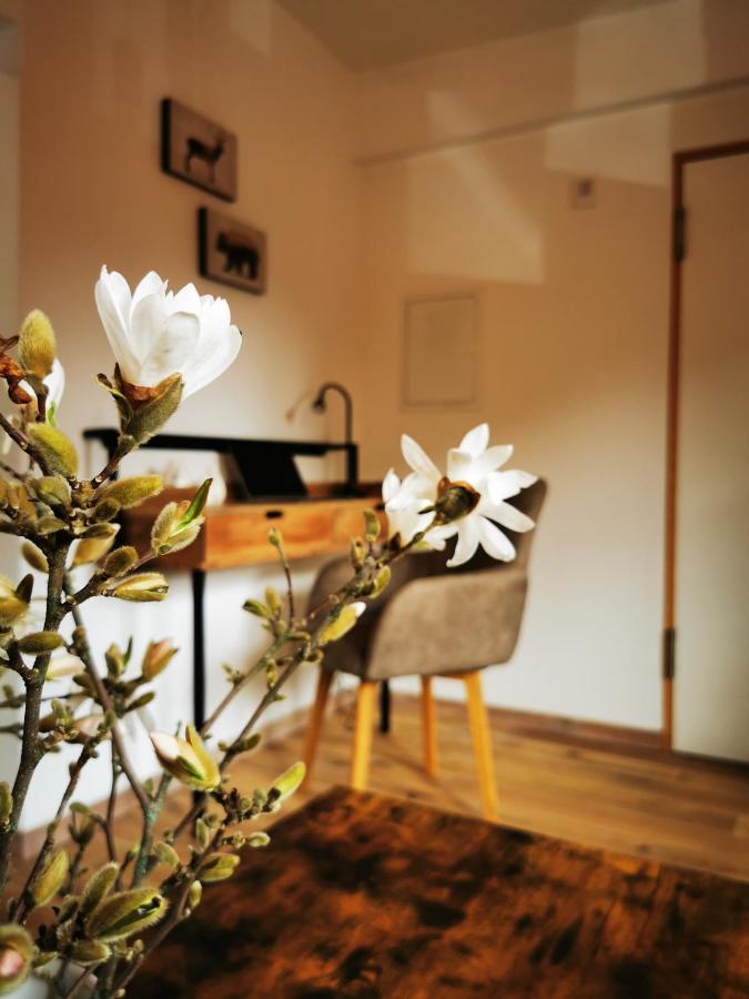 Apartament Haselnuss Ilsenburg Zewnętrze zdjęcie